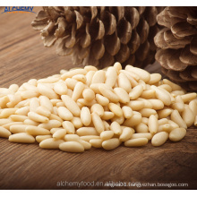 Pure Natural pine nuts turkey